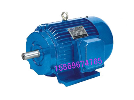 Y315S-8-55KW三相異步電動機