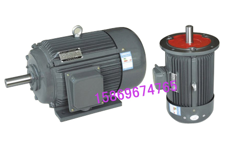 Y315S-2-110KW三相異步電動機