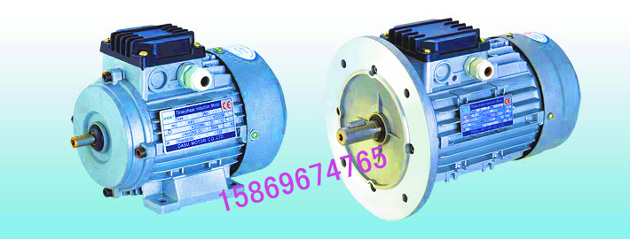 MS801-2-0.75KW減速機(jī)專用鋁殼三相異步電動機(jī)