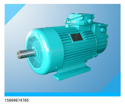 YZR315S-10 55KW起重及冶金用三相異步電動機