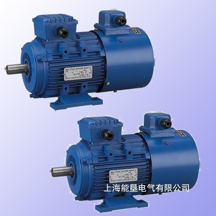 青海省鋁殼變頻調速電動機YVF100L2-4 3KW