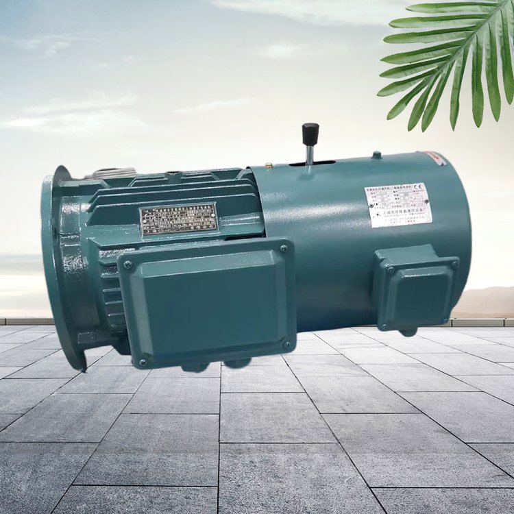 YVPEJ變頻制動調速電機250M-8-30KW三相異步電動機臥式/立式