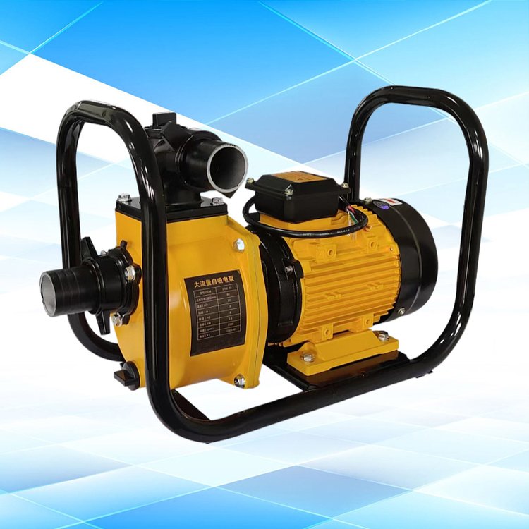 大流量高揚程自吸泵水泵噴灌離心泵DSU-100農用電泵農用抽水機