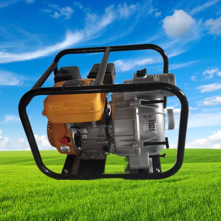 3寸四沖程鑄鋁自吸泵污水泵化糞池豬糞池泥漿沼澤排污泵170