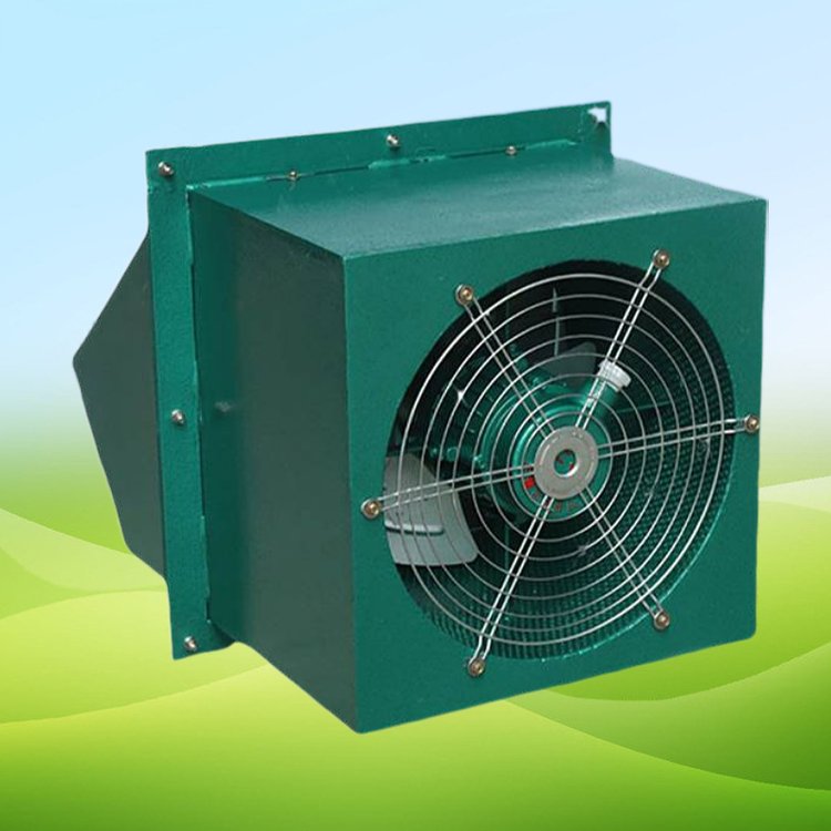 軸流排風機WEXD-450邊墻風機排風扇掛壁式工業強力通風設備