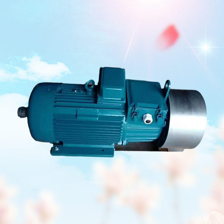 起重渦流制動電機YZRW280S-6 55KW冶金用單軸臥式電機