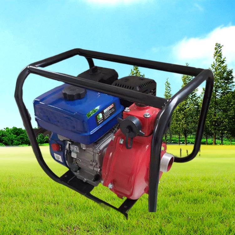 雙葉輪高壓泵高揚程大流量水泵2寸汽油自吸泵增壓高壓山坡抽水機